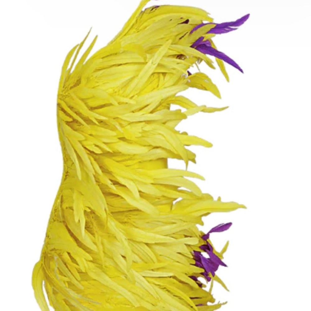 Statement Mini feather dress